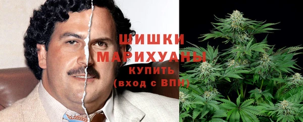 гашик Горнозаводск